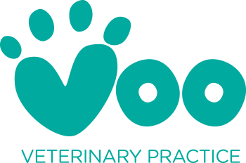 Voo - Veterinary Practice